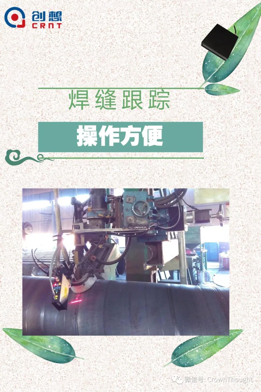 粽葉帶來(lái)的不僅僅是粽子，還有...