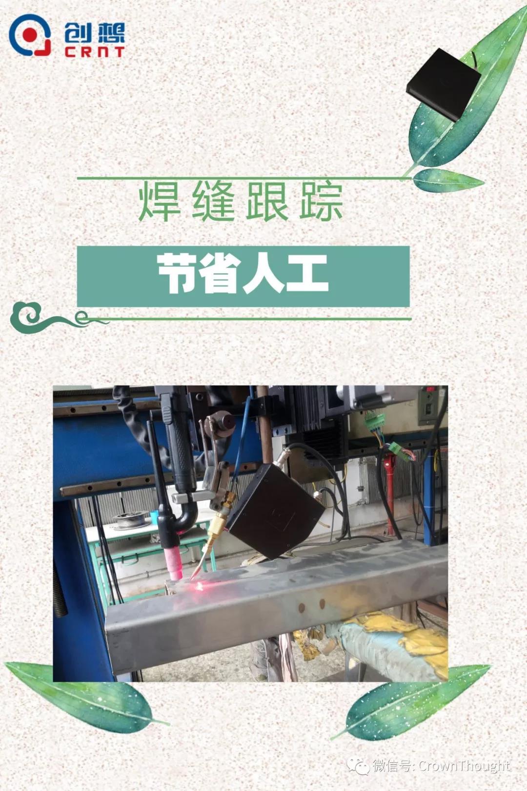 粽葉帶來(lái)的不僅僅是粽子，還有...